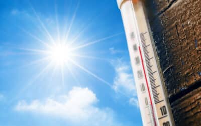 Arriva il caldo: come affrontare al meglio il rialzo delle temperature